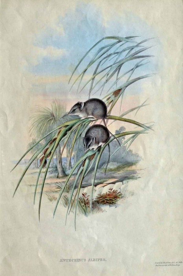 Click here to view image