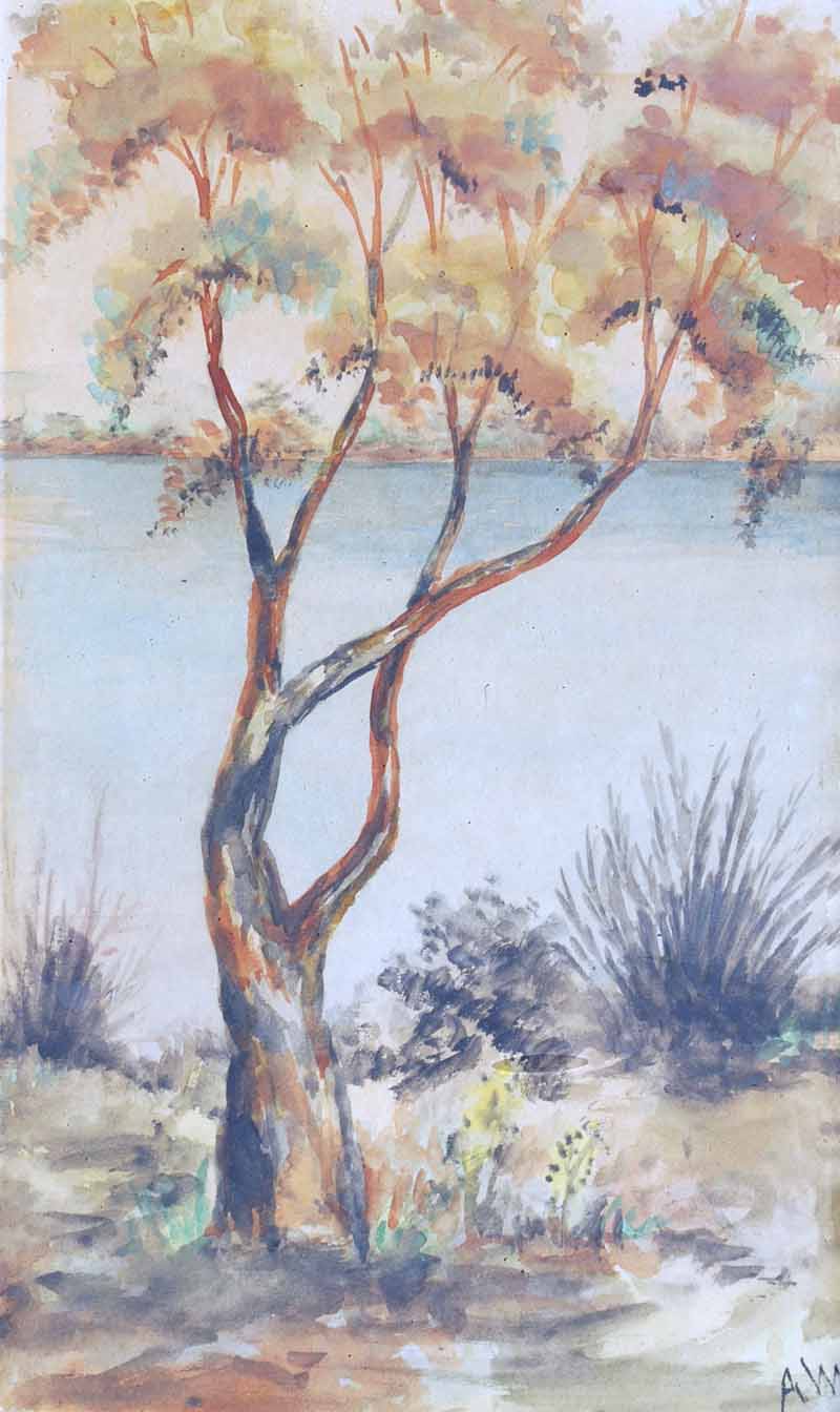 White, A. - Artists - Australian Art Auction Records
