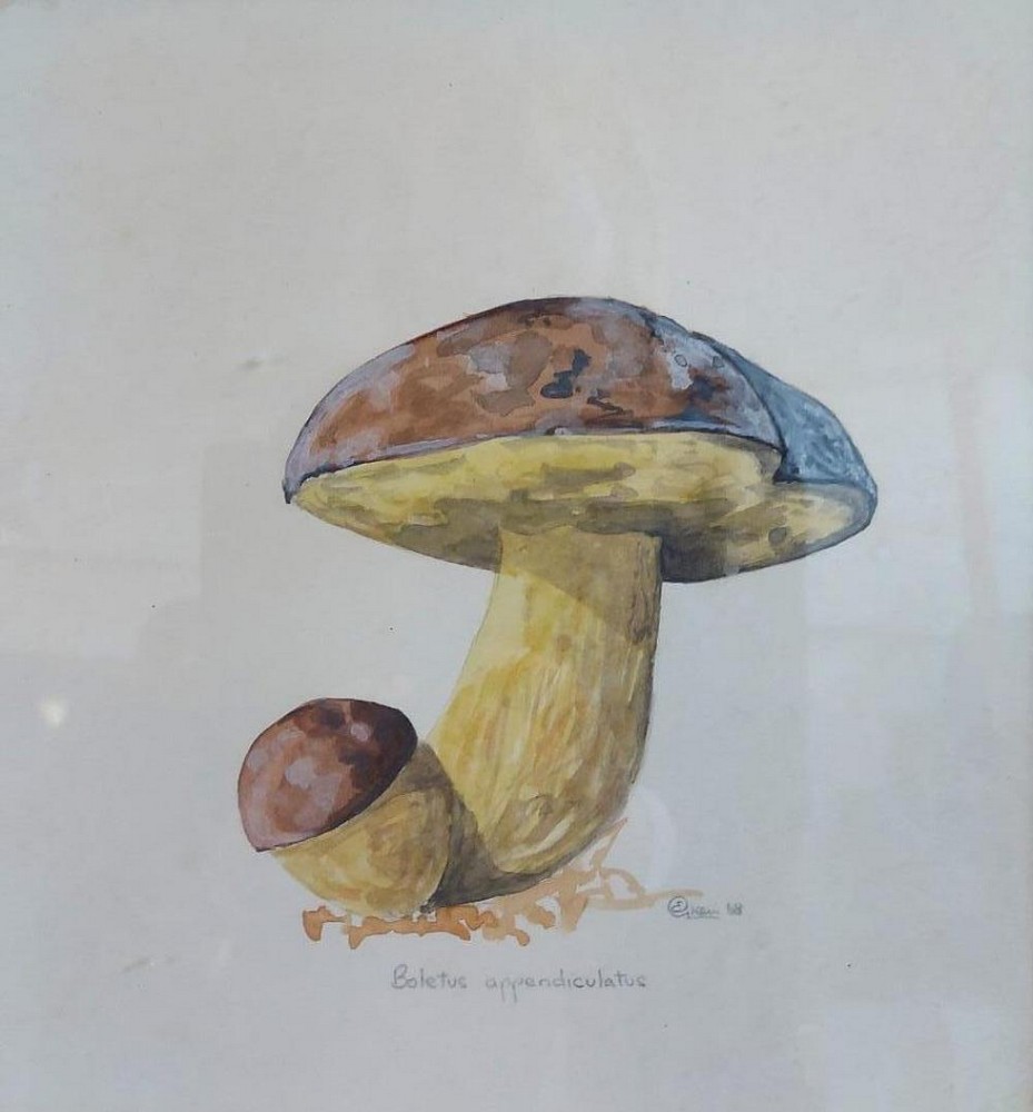 E. Green. Works in Past Sales