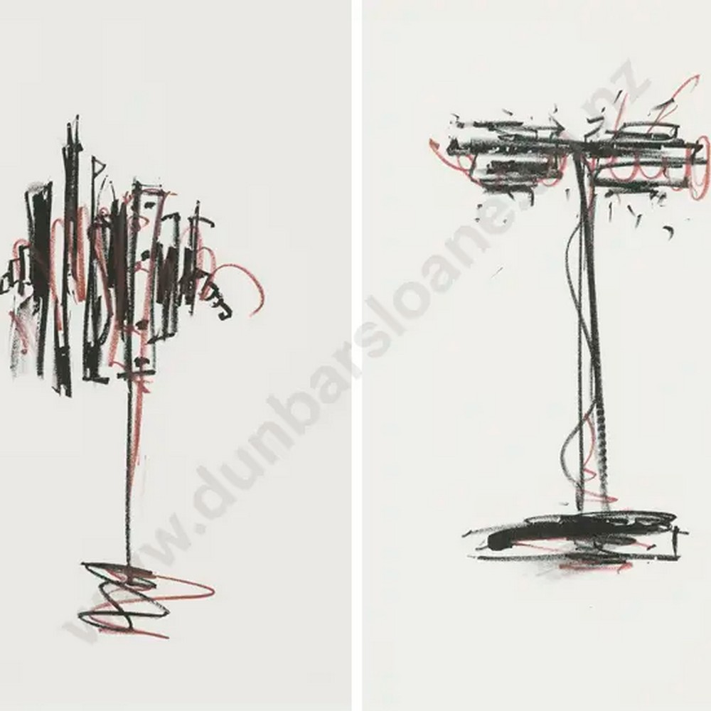 Peter Roche Peter Roche. 1957-. New Zealand - Works in Past Sales