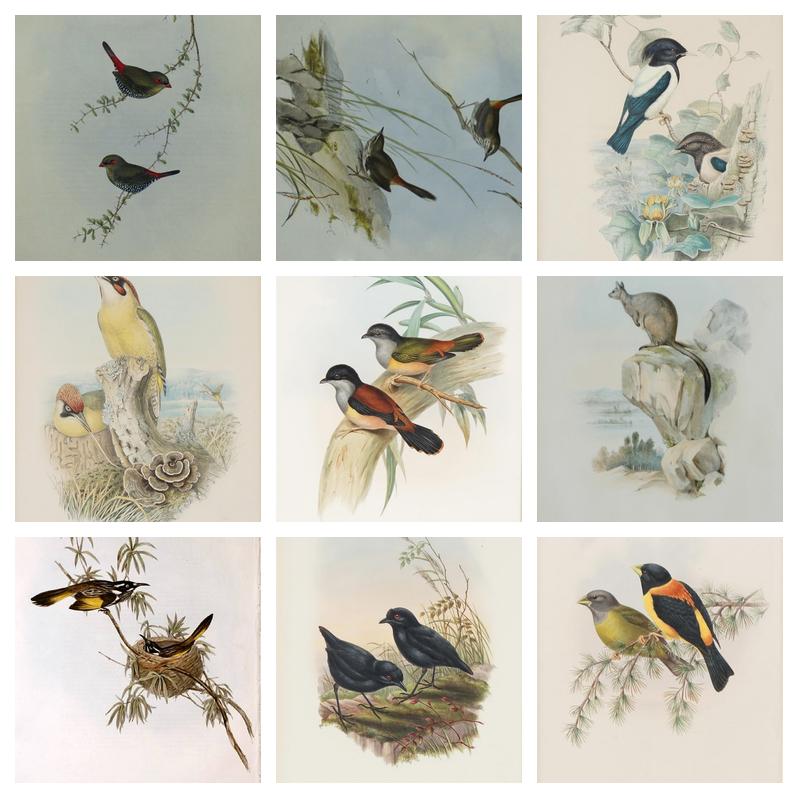 John Gould. 1804-81 Britain, Australia - Prices of Art at Auction