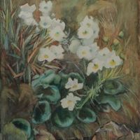 Beatrice Seddon. 1889 1987 New Zealand Britain Prices of Art at